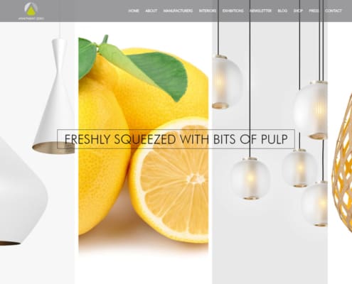 Website Design Testimonials - Apartment Zero - WordPress Website Design
