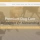 The Board Hound Website - Welcome